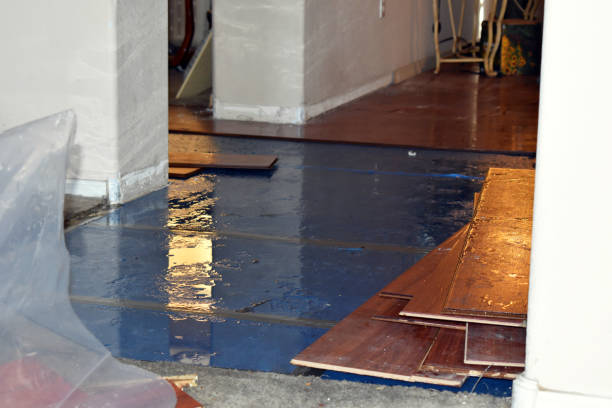 Professional Flood Cleanup technician working in Mineral City, OH